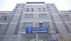 Faculty of Management